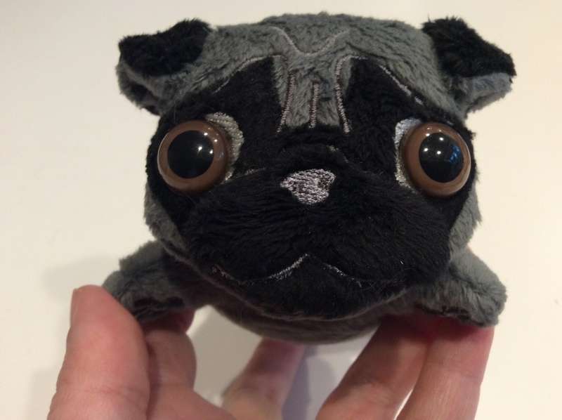 Closeup of a plush pug in silver with black mask.