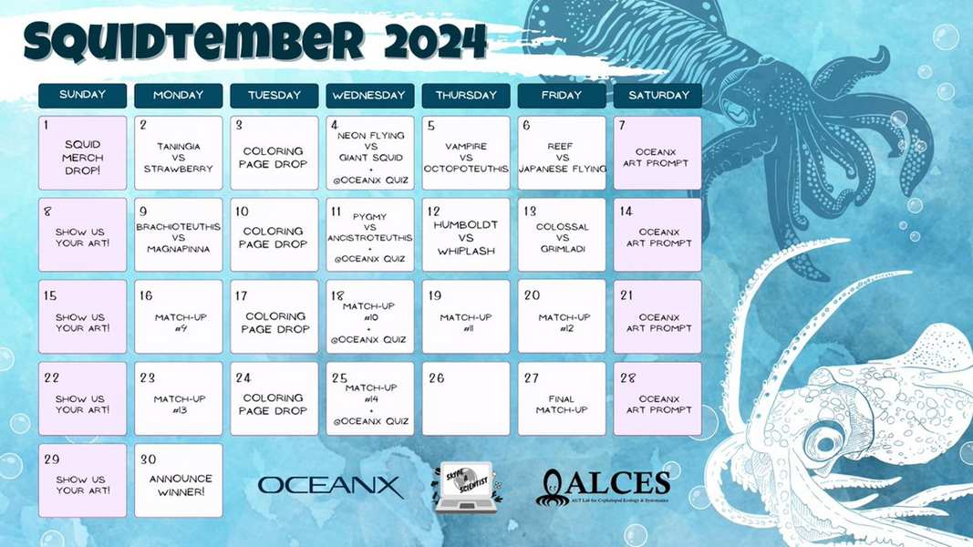 Squidtember calendar