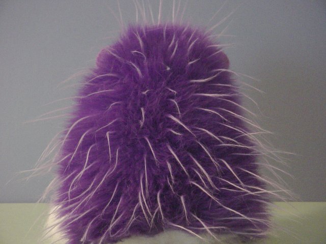 Picture 6