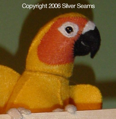 Sun Conure, 2006 version