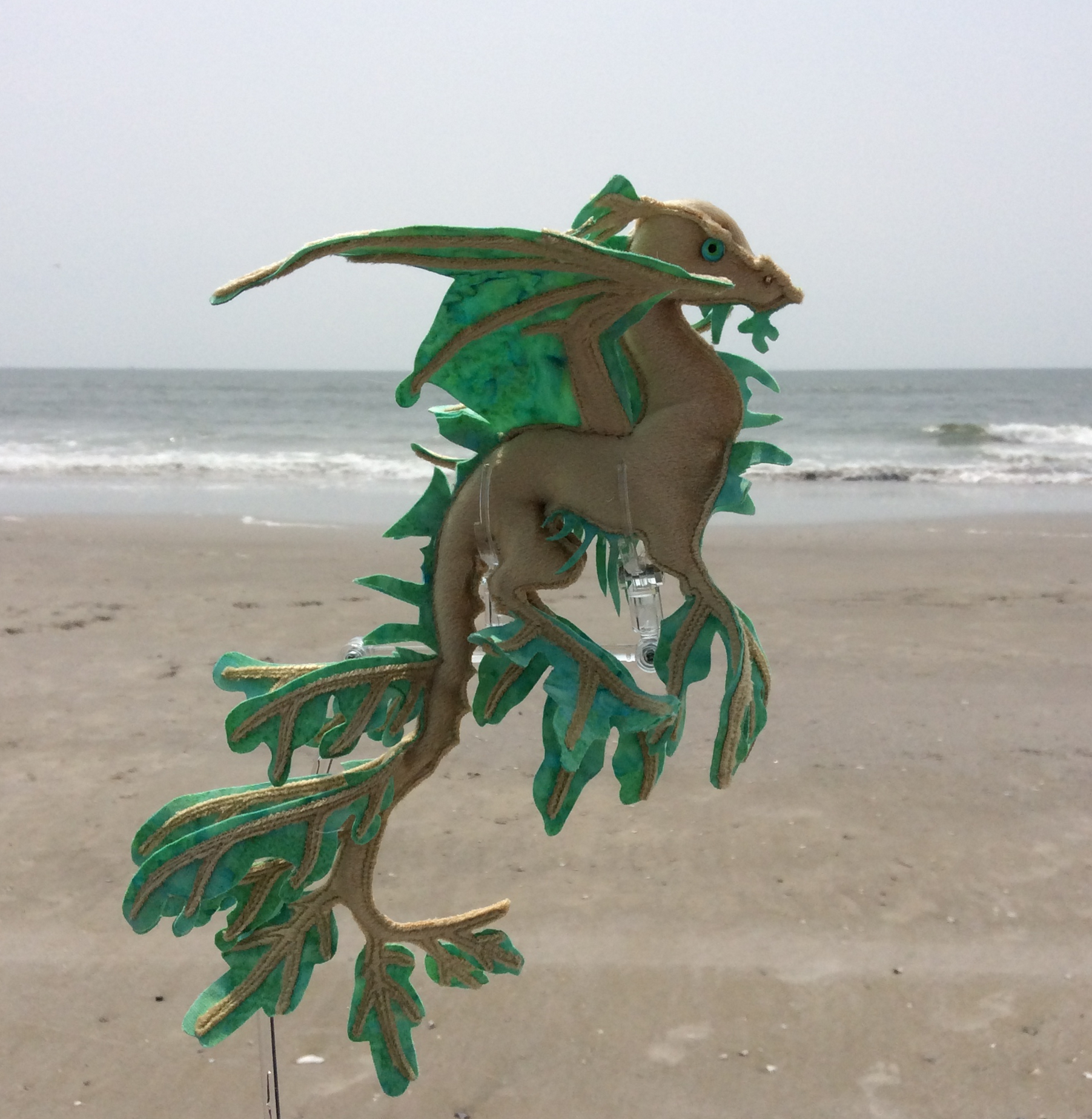 A sea dragon down the Shore