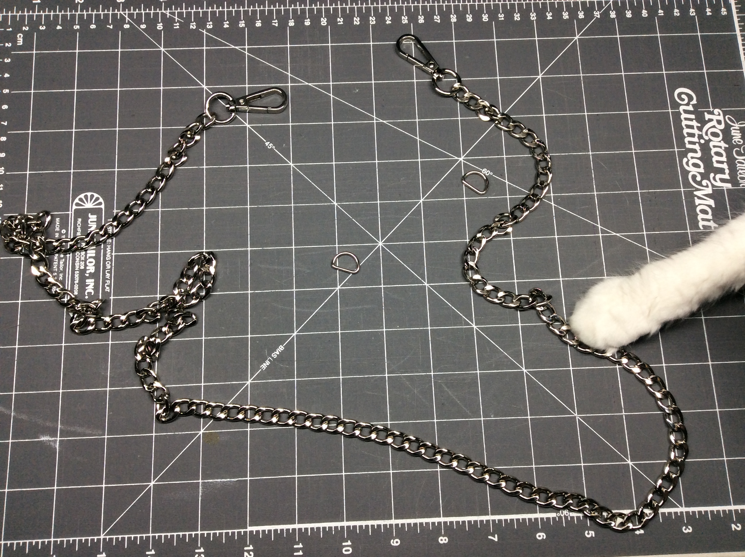 Picture 8