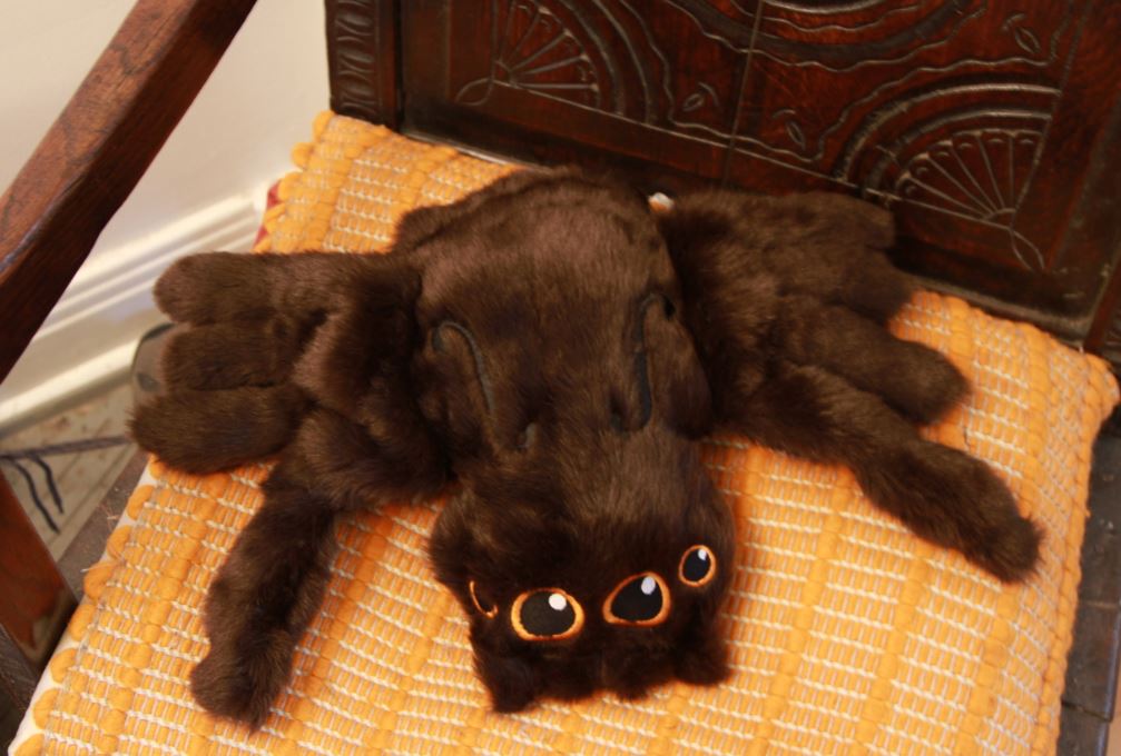 Jumping Spider variant by Irene L