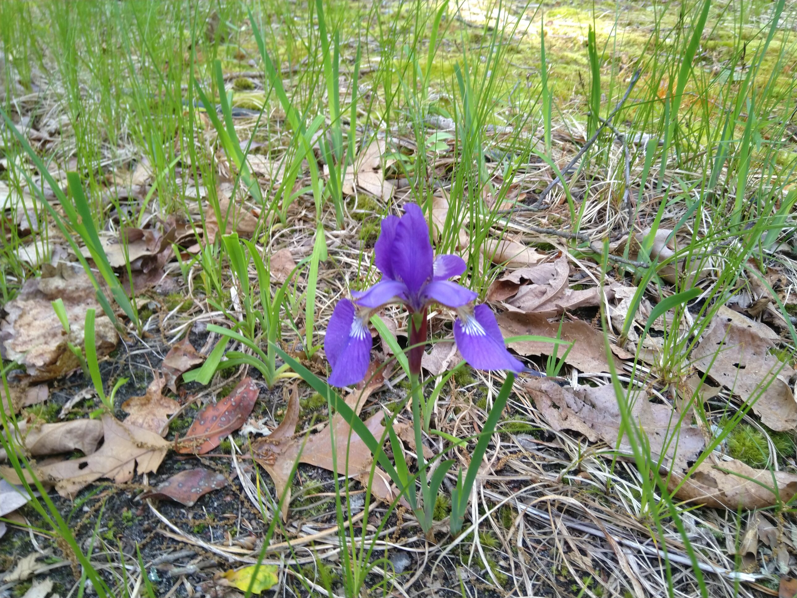 Picture 2