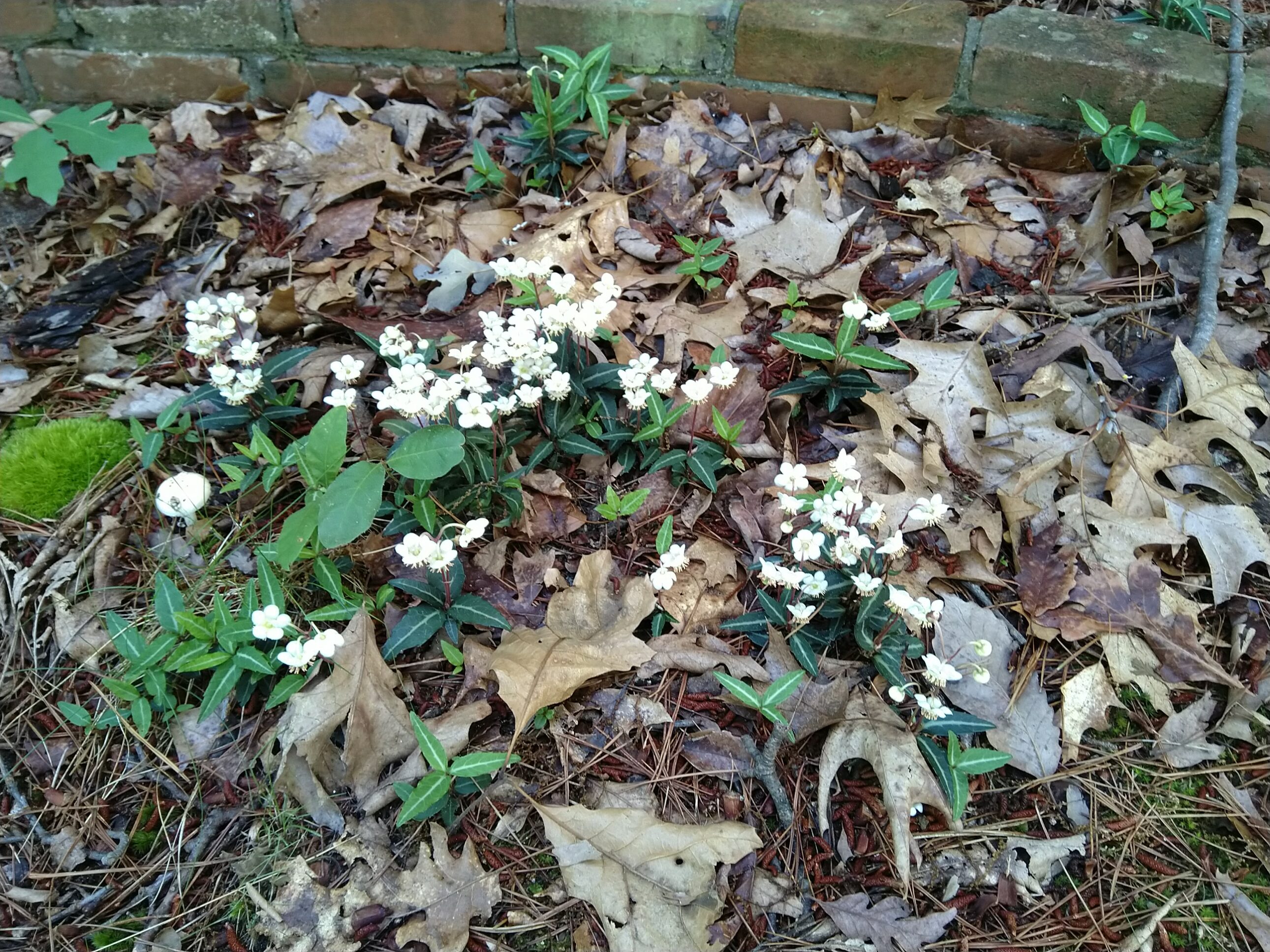 Picture 3