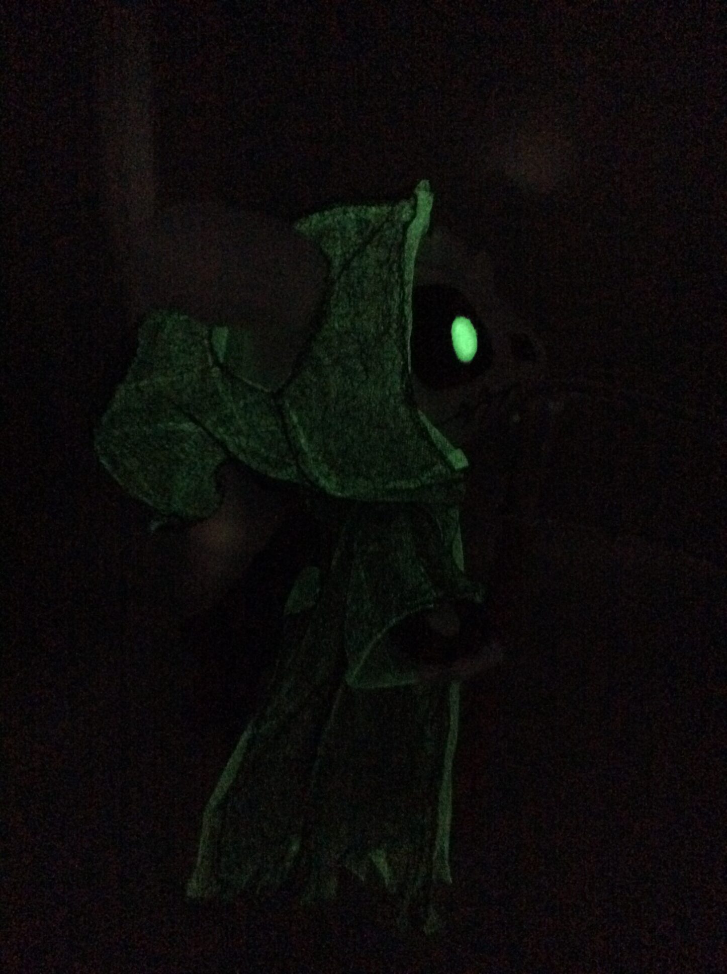 Picture 3