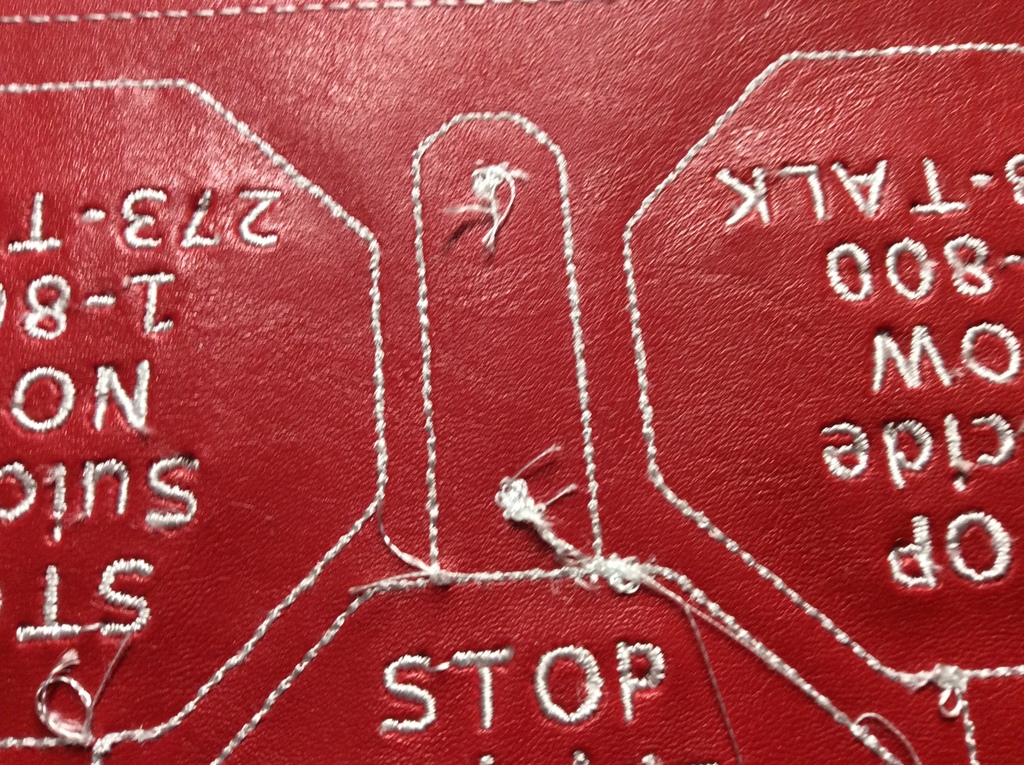 Picture 5