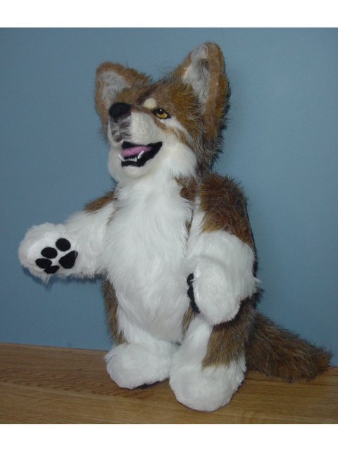 Picture 2
