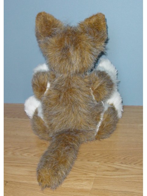 Picture 5