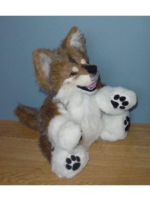 Picture 3